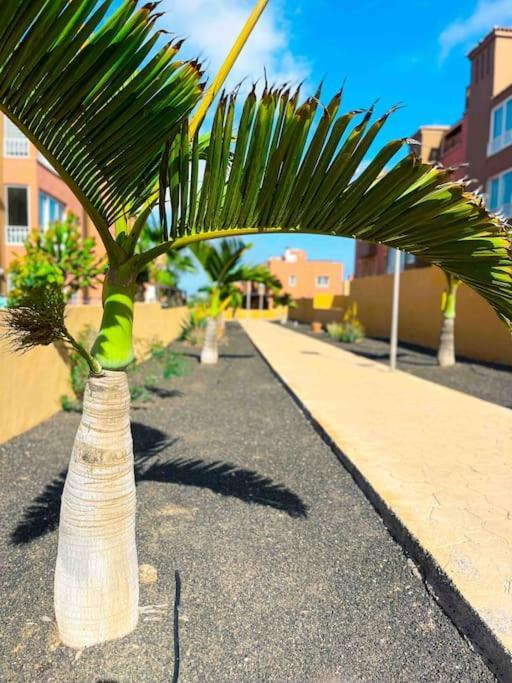 Apartamento Casa Bamboo Corralejo, Espacioso, Piscina Y Parking Eksteriør billede