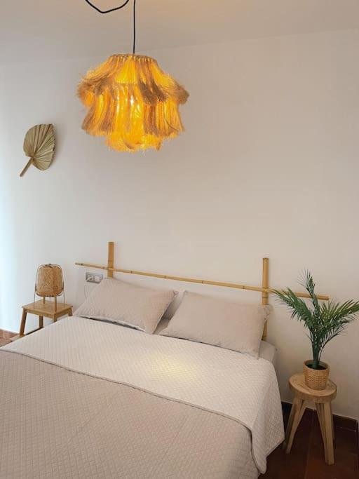 Apartamento Casa Bamboo Corralejo, Espacioso, Piscina Y Parking Eksteriør billede