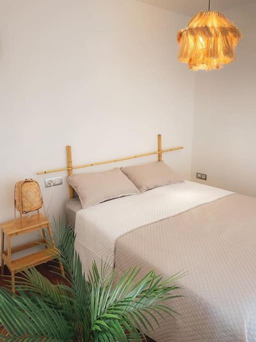 Apartamento Casa Bamboo Corralejo, Espacioso, Piscina Y Parking Eksteriør billede