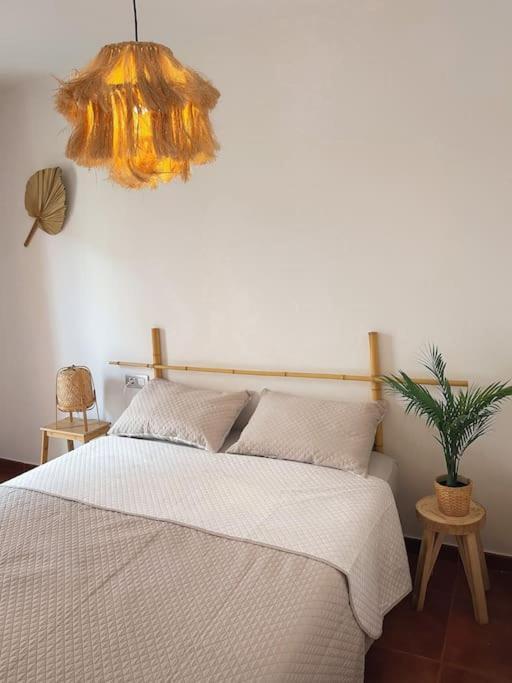 Apartamento Casa Bamboo Corralejo, Espacioso, Piscina Y Parking Eksteriør billede