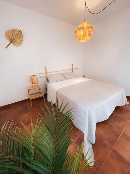 Apartamento Casa Bamboo Corralejo, Espacioso, Piscina Y Parking Eksteriør billede