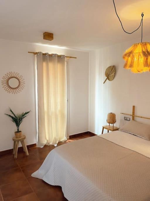 Apartamento Casa Bamboo Corralejo, Espacioso, Piscina Y Parking Eksteriør billede