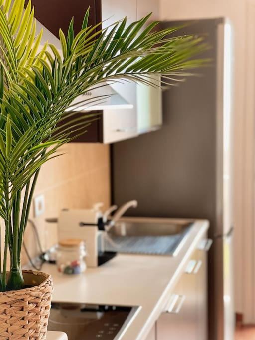 Apartamento Casa Bamboo Corralejo, Espacioso, Piscina Y Parking Eksteriør billede
