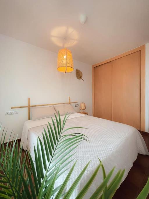 Apartamento Casa Bamboo Corralejo, Espacioso, Piscina Y Parking Eksteriør billede